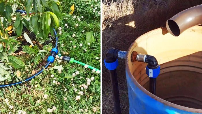 Как сделать автоматический полив дождевой водой без насосов и электричества
