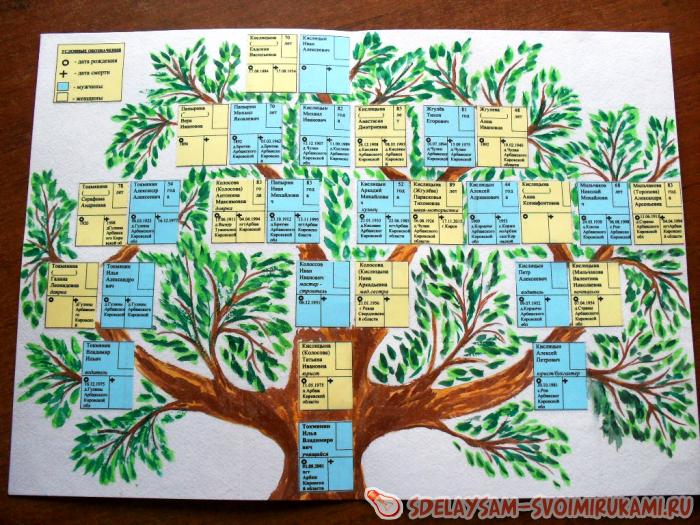 Как сделать генеалогическое древо семьи — 6 способов