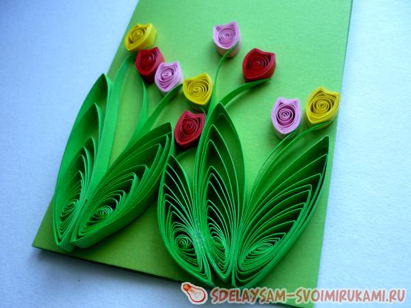 открытка с тюльпанами