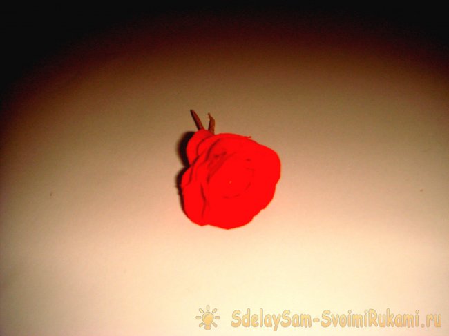 Маленькие розочки