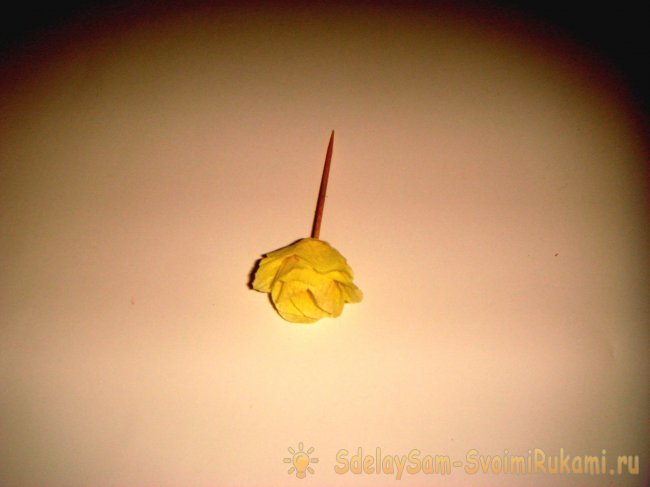 Маленькие розочки