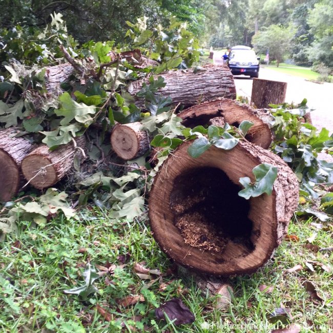 Ночник - подставка