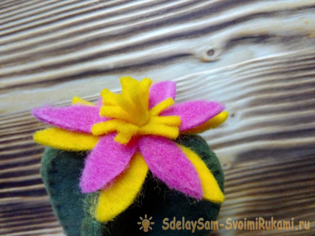 Кактус из фетра в горшочке