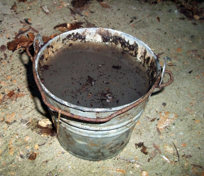 Древесный уголь своими руками