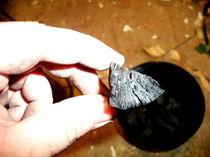 Древесный уголь своими руками