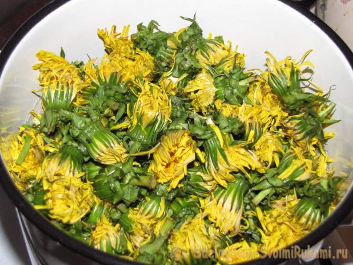 Простое варенье из одуванчиков