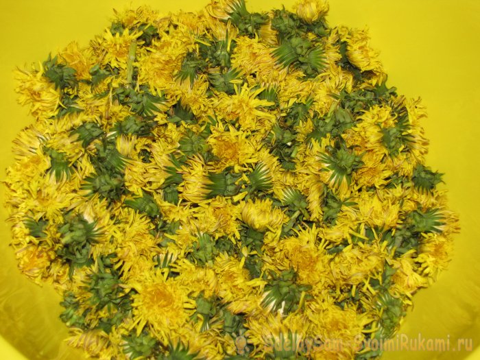 Простое варенье из одуванчиков