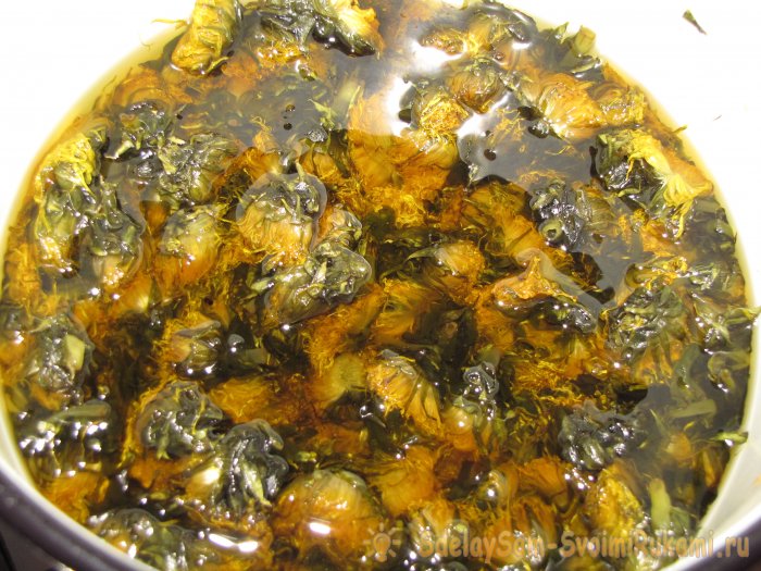 Простое варенье из одуванчиков