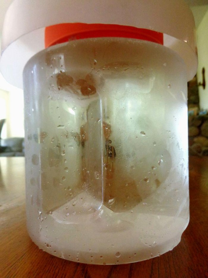 Простая автопоилка