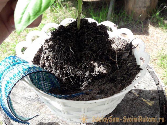 Цветочный горшок с автополивом