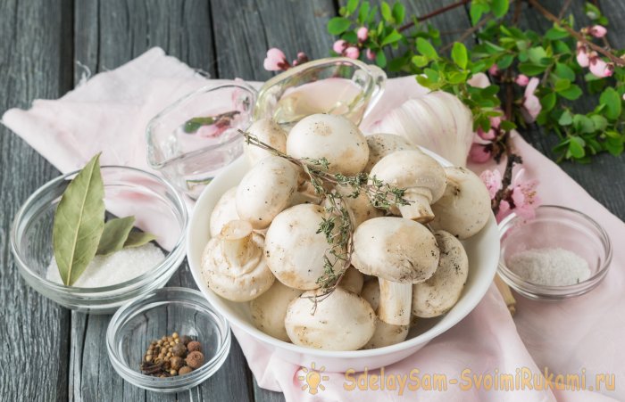 Быстрые маринованные шампиньоны за 1 сутки