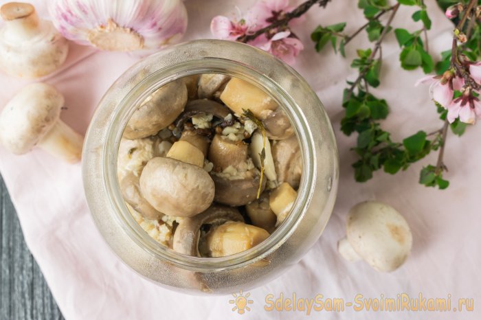Быстрые маринованные шампиньоны за 1 сутки