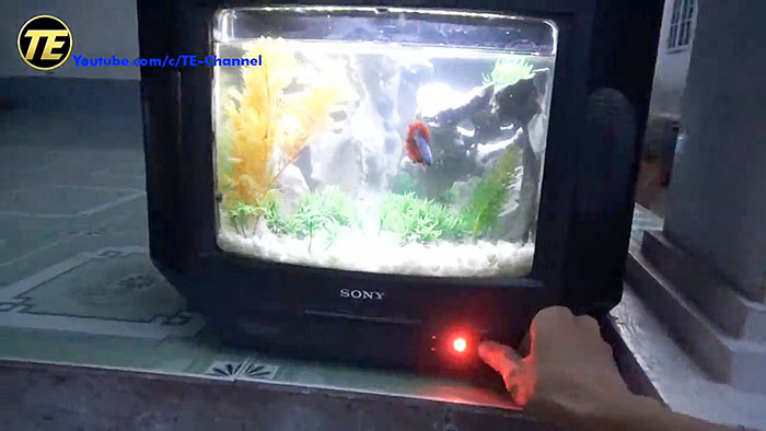 Как сделать аквариум из старого телевизора