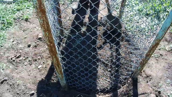 Как сделать недорогой бак для полива