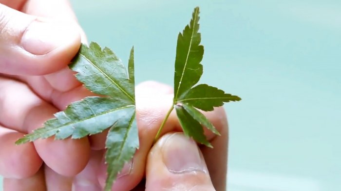 Как восстановить и наточить ржавый нож