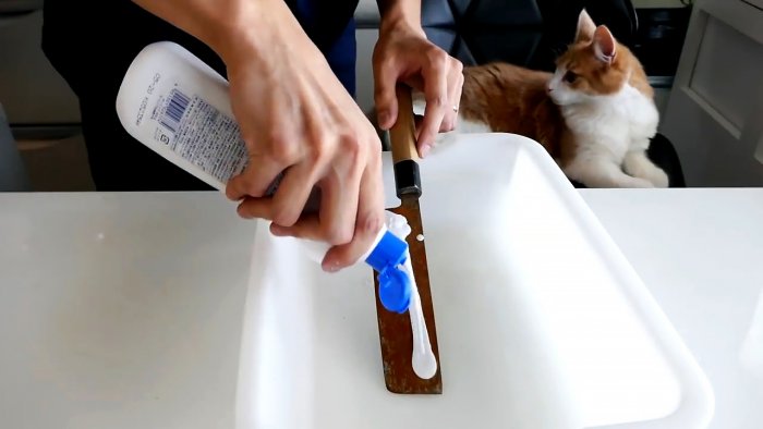 Как восстановить и наточить ржавый нож