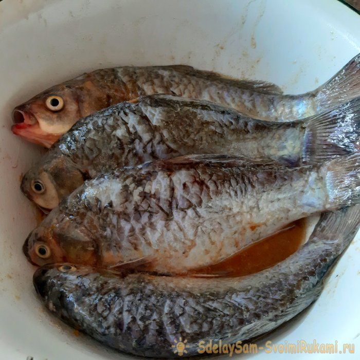 Готовим рыбу на костре