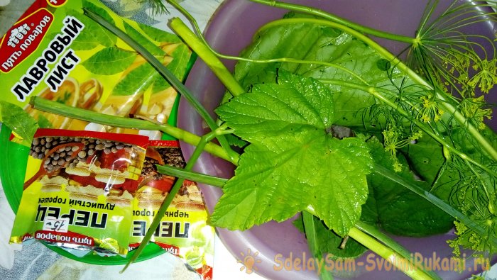 Засолка груздей пошаговый рецепт