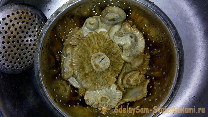 Засолка груздей пошаговый рецепт