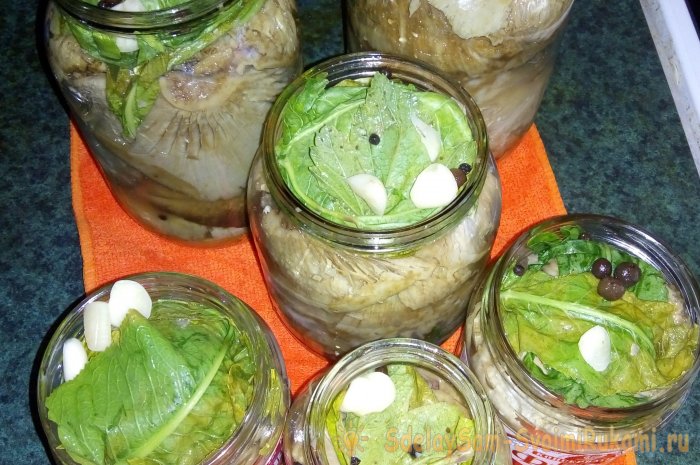 Засолка груздей пошаговый рецепт