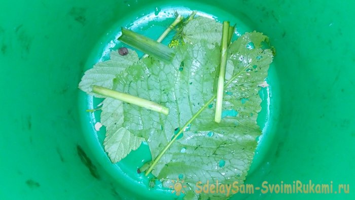 Засолка груздей пошаговый рецепт