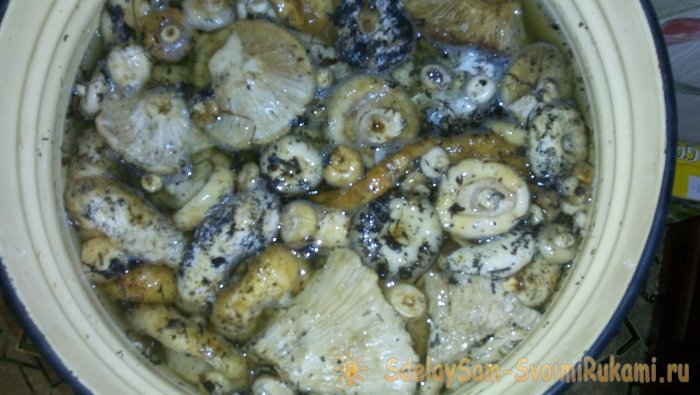 Засолка груздей пошаговый рецепт