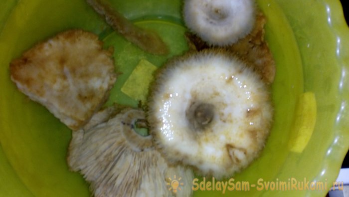 Засолка груздей пошаговый рецепт