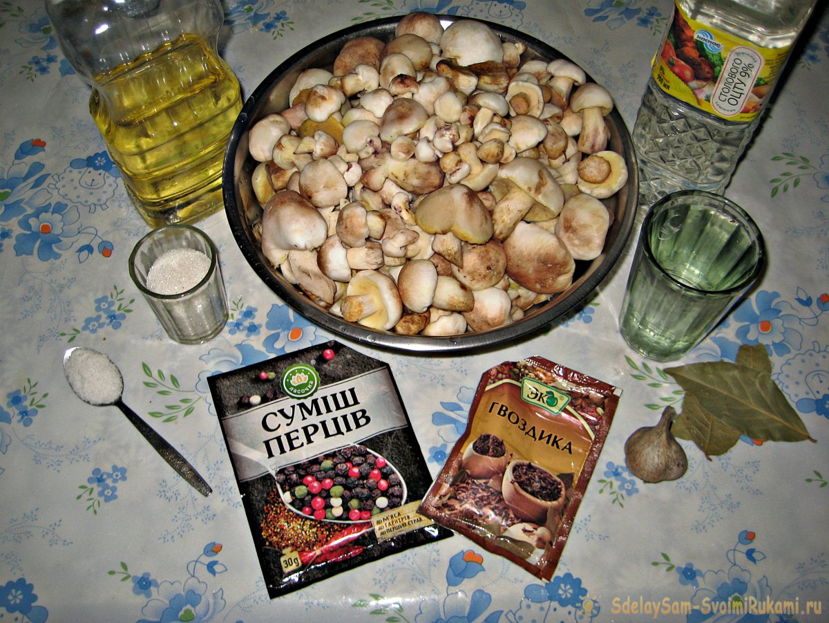 Маслята на зиму - 12 рецептов приготовления пошагово