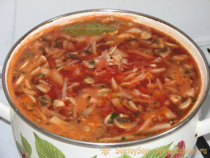 Быстрый легкий и вкусный борщ с грибами без зажарки