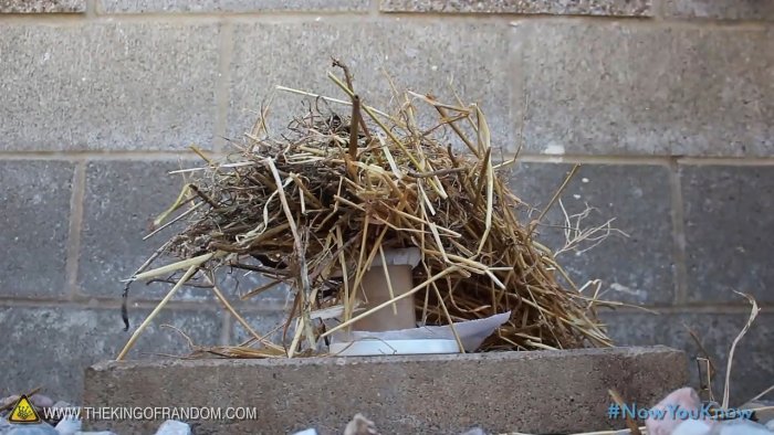 5 способов разжечь огонь при помощи воды