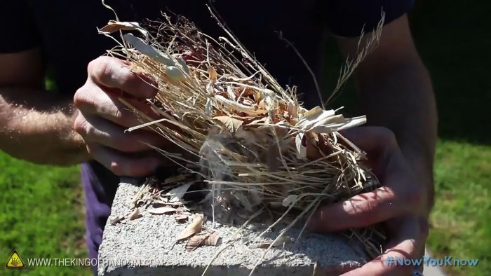 5 способов разжечь огонь при помощи воды