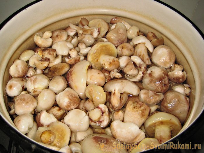 Как мариновать маслята