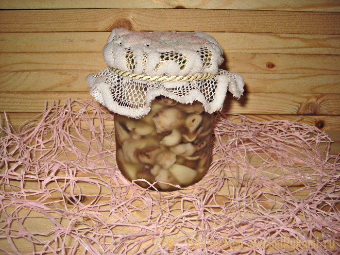 Как мариновать маслята