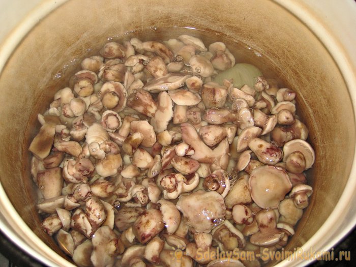 Как мариновать маслята