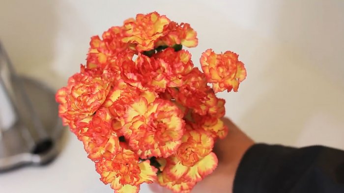 10 полезных лайфхаков на основе уксуса