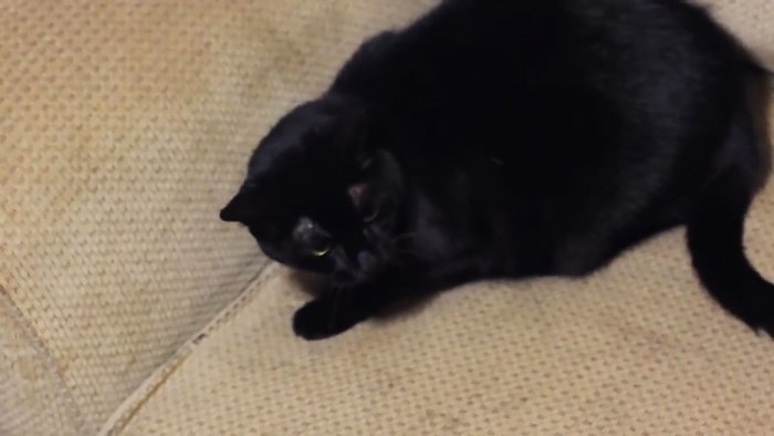 10 полезных лайфхаков на основе уксуса