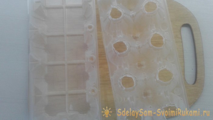 Вырастить зеленый лук на подоконнике может каждый без всякой почвы