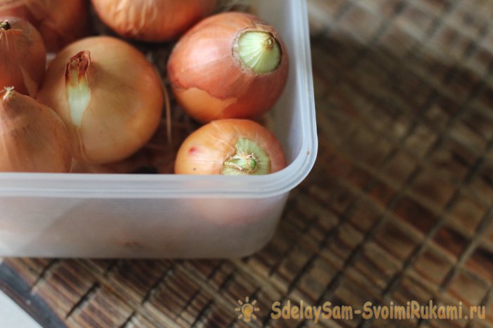 Как вырастить зеленый лук и чеснок на подоконнике