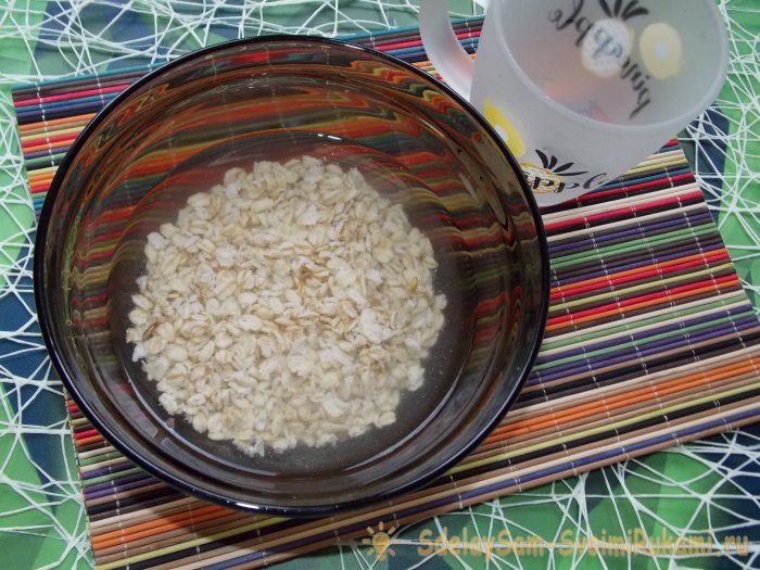 Как сделать овсяное молоко в домашних условиях