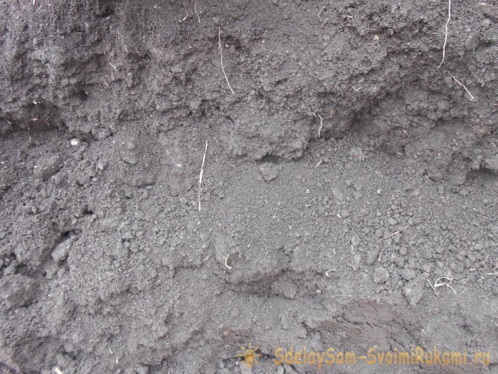 Большой урожай картофеля будет если правильно подготовить грядки