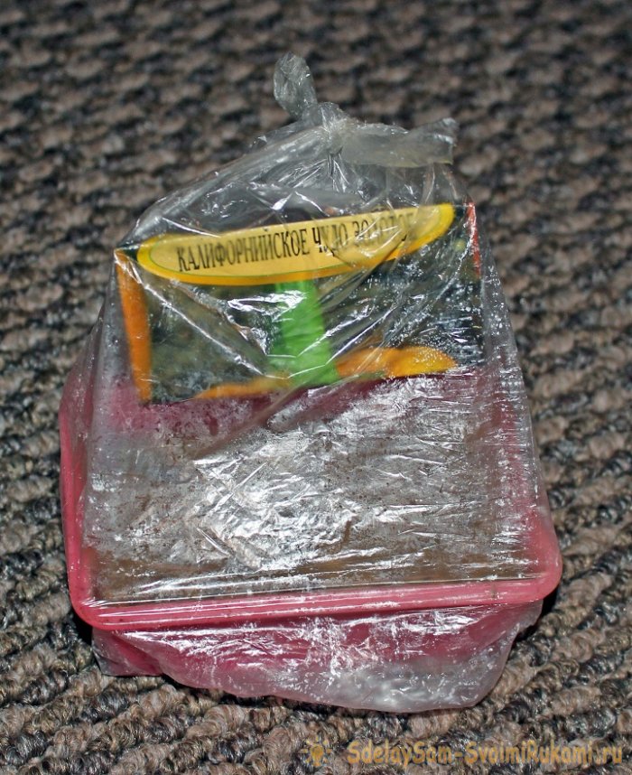 Идеальная рассада перцев вместо почвы  горячие опилки