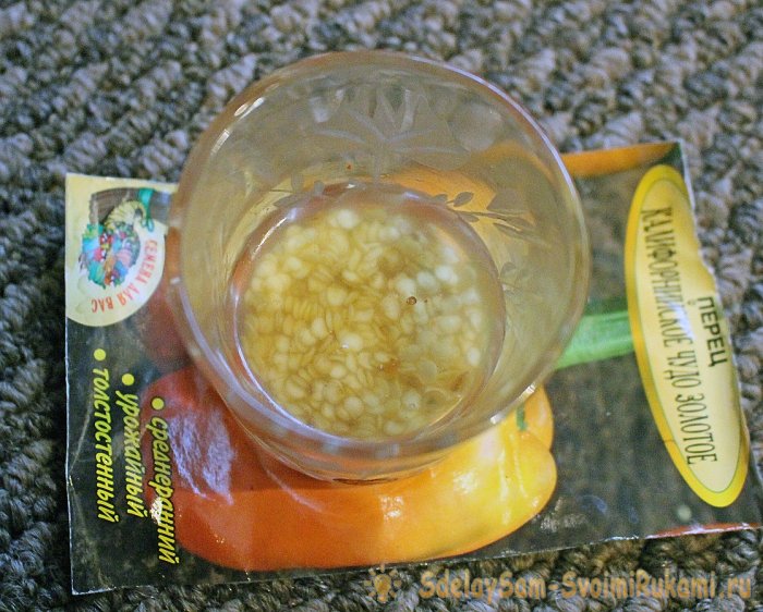 Идеальная рассада перцев вместо почвы  горячие опилки