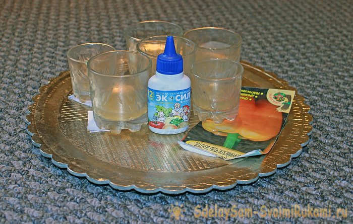 Идеальная рассада перцев вместо почвы  горячие опилки