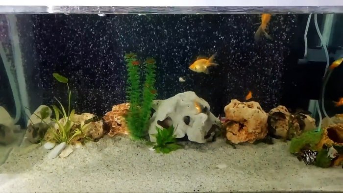 Как сделать завесу из воздушных пузырьков для своего аквариума