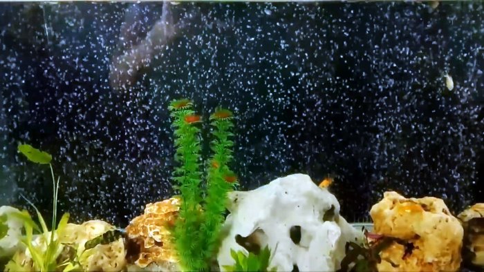 Как сделать завесу из воздушных пузырьков для своего аквариума