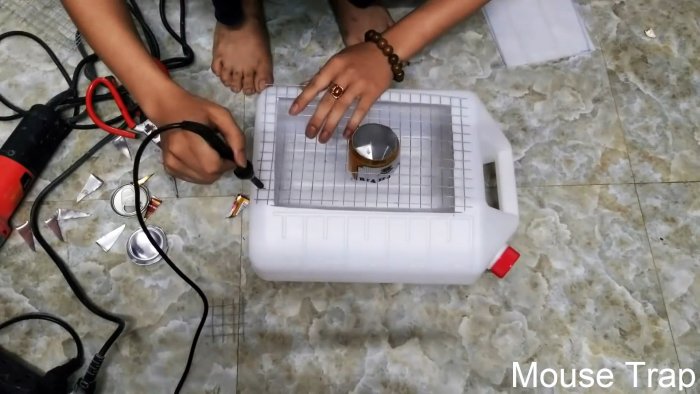 Мышеловка из пластиковой канистры