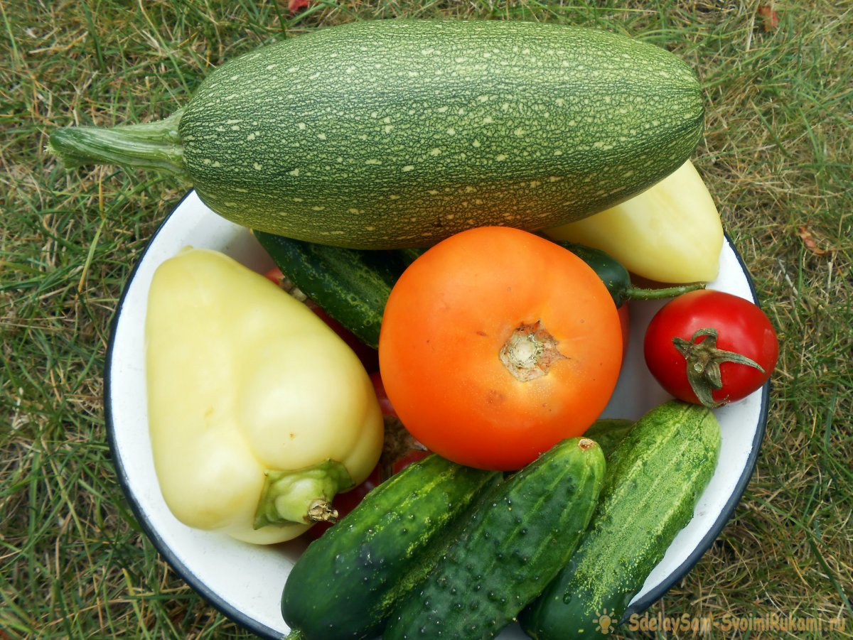Бесплатное удобрение которое повысит урожай и сахаристость томатов и других овощей