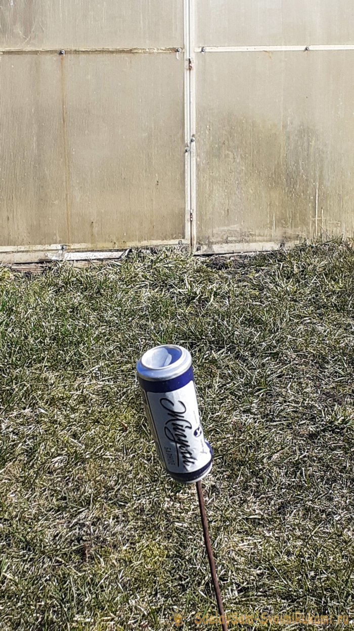 Крот пришёл на огород Что делать