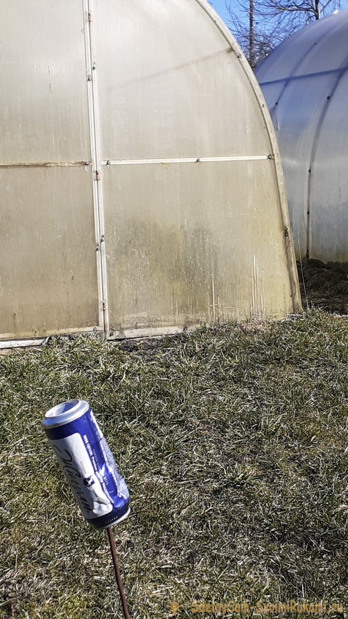 Крот пришёл на огород Что делать