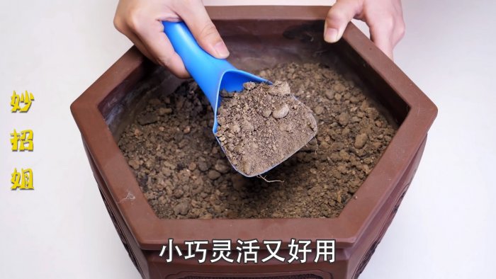 Что можно сделать пустой пластиковой емкости